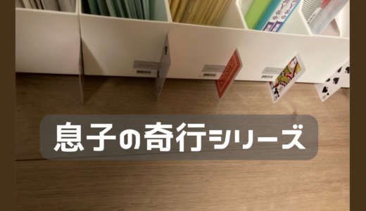 息子の奇行シリーズ　もはや罠なのか？