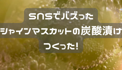 SNSでバズった　シャインマスカットの強炭酸漬けつくった！