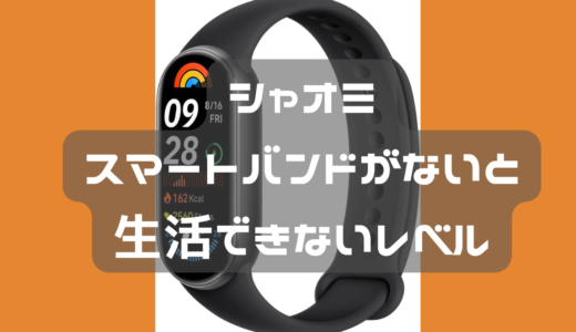 Xiaomi Smart Band 9 は結果最高だった