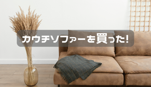 ラグを捨てたからソファーを買おう