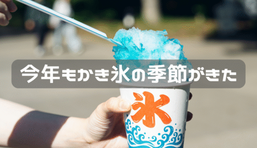 夏だ！かき氷だ！！