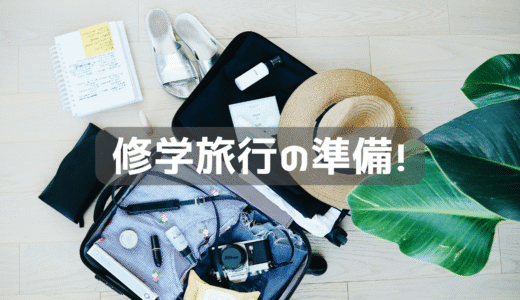息子の修学旅行のグッツを検討する。