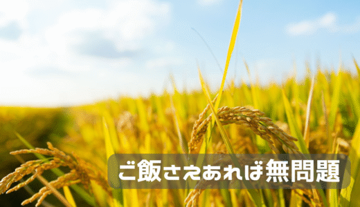 冷凍ご飯をためておく。