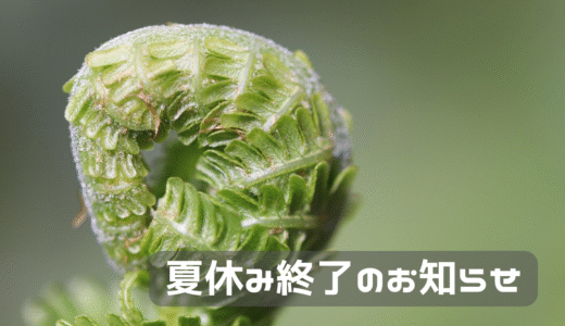 夏休み終了のお知らせ。