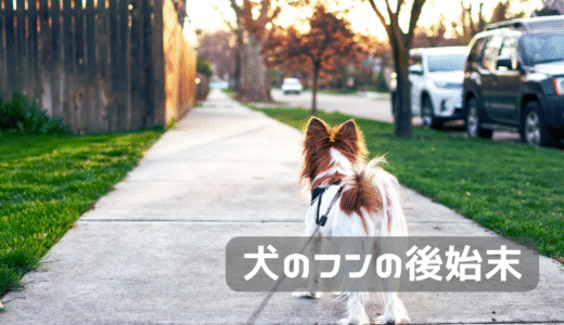 犬のフン・・・迷惑・・・