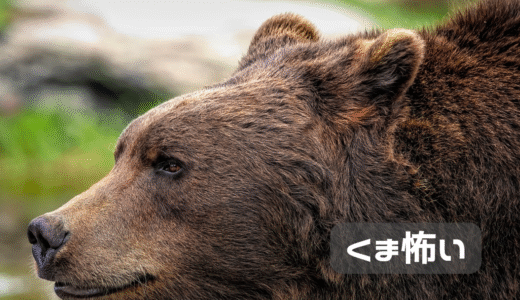 熊怖い・・・