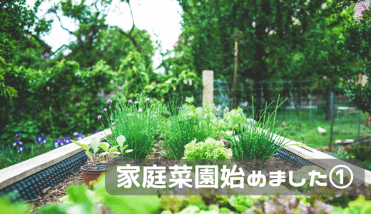 家庭菜園を始めようと思います①
