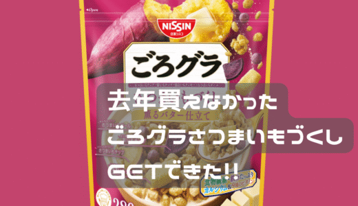 去年人気すぎて生産停止になったものを手に入れた