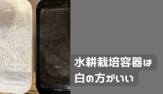 ダイソーの水耕栽培容器の白と黒の違いがあった。