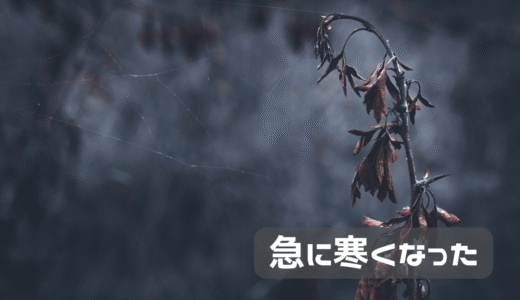 急に寒くなった！